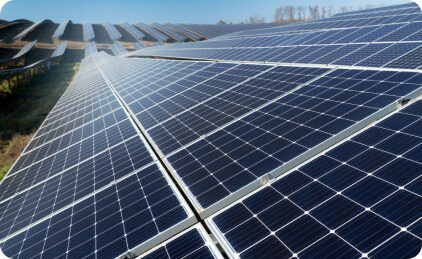 un champs de panneaux solaires