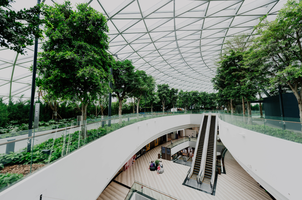 Liane RH, cabinet de recrutement pour l'architecture