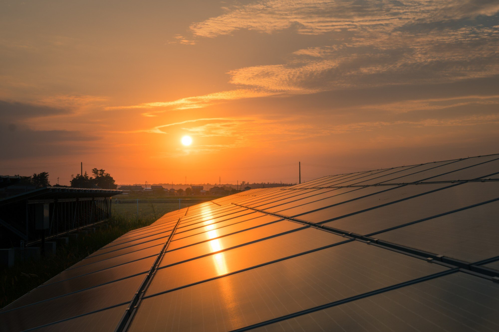 Liane RH, cabinet de recrutement pour le photovoltaïque