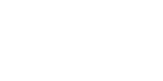 Logo dyneff