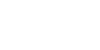 Logo Nicollin