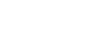 Logo smiths detection