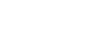 Logo stellaria